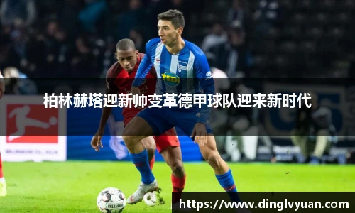 南宫NG·28