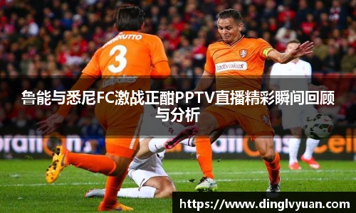 南宫NG·28