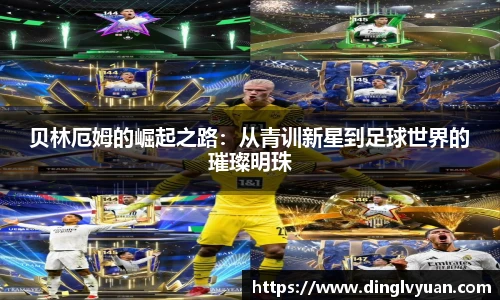 南宫NG·28体育